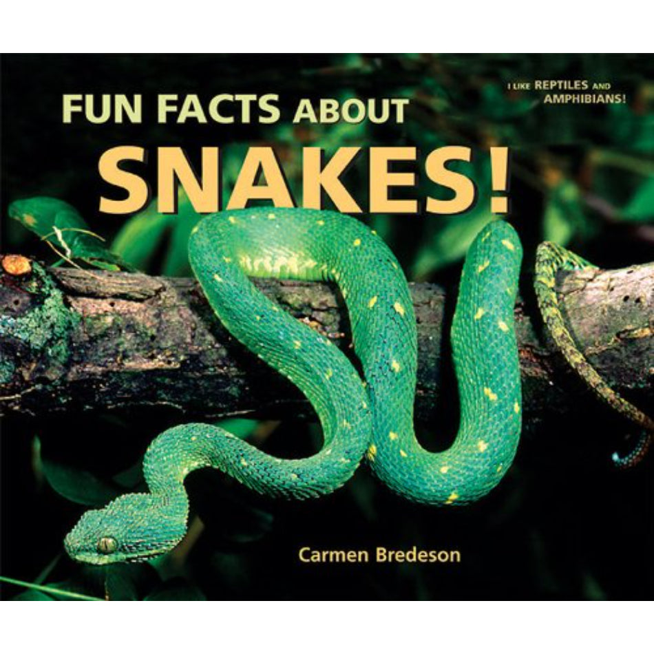 Fun Facts About Snakes! (I Like Reptiles and Amphibians!)